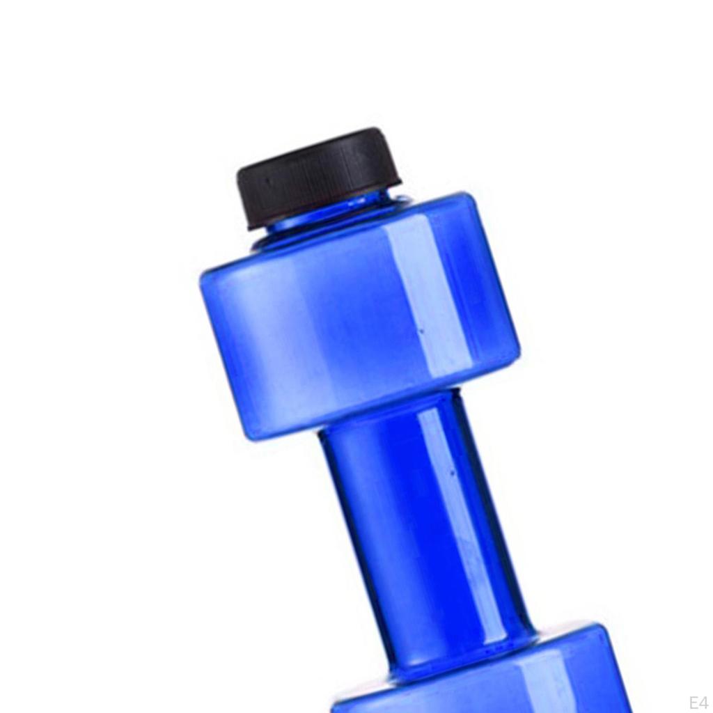 Companion for Fitness Enthusiasts