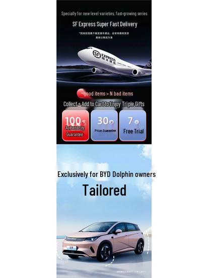 2025 BYD Dolphin TPE Full Surround Floor Mats - Interior Accessories