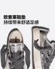 Converse All Star Canvas Shoes Unisex Low Top Silver