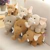 Poupées et peluches – Animaux en peluches