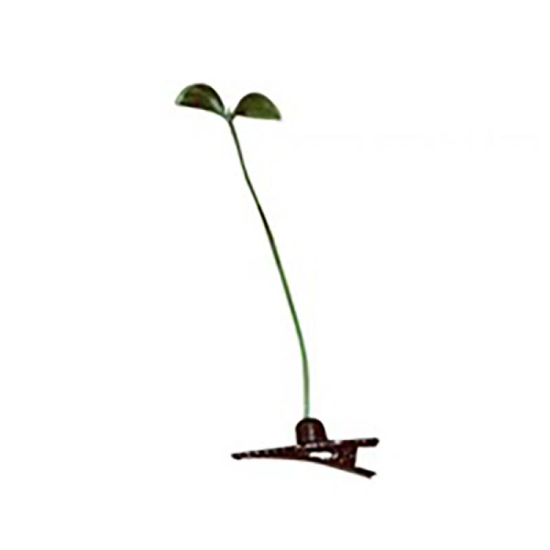 

Групповое событие заколка росток cheer парк развлечений концерт Sprout pin