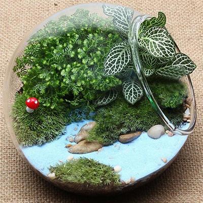 Decoración para el hogar
 – Jarrones y floreros