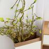 Artificial Flower No-Maintenance Long-Lasting Beauty Realistic Texture Flexible Branches Natural Zen Shape Fake Branch Home Decor