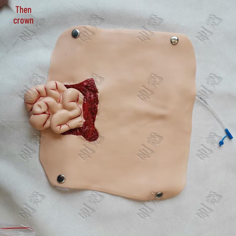 Zeyao CPR and AED Defibrillation Training Simulator