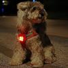 Pet Luminous Pendant, Dog Led Walking Pet Cat Glowing Pendant Safety Luminous Collar Dog Usb Rechargeable 3 Modes Flashlight