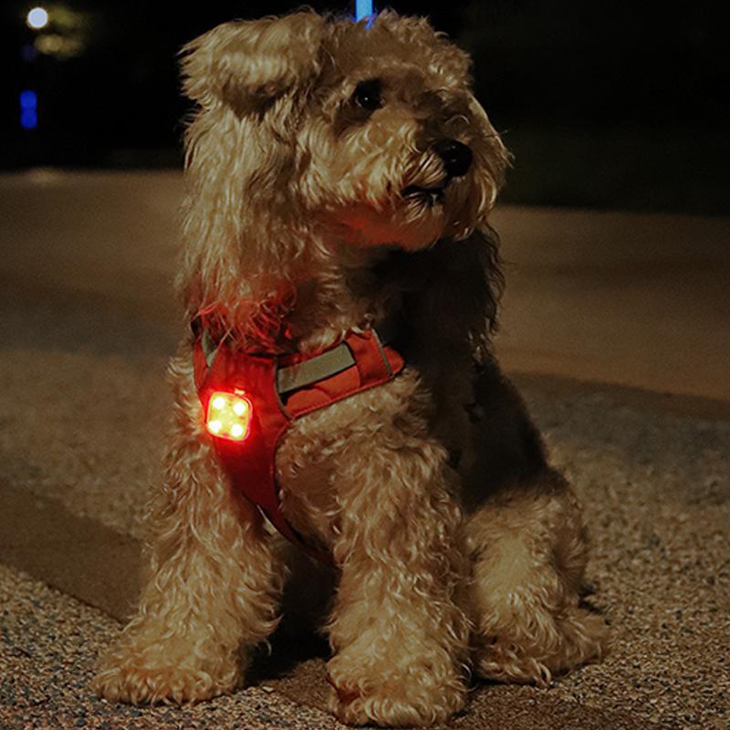 Pet Luminous Pendant, Dog Led Walking Pet Cat Glowing Pendant Safety Luminous Collar Dog Usb Rechargeable 3 Modes Flashlight