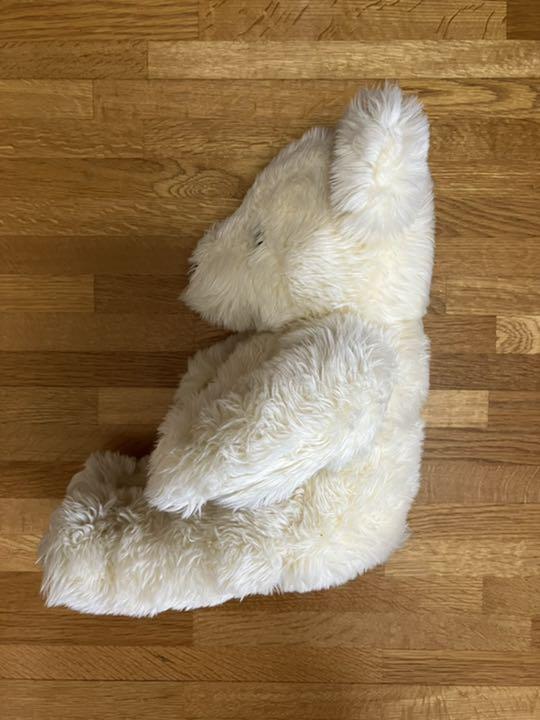 [USED] Teddy Bear