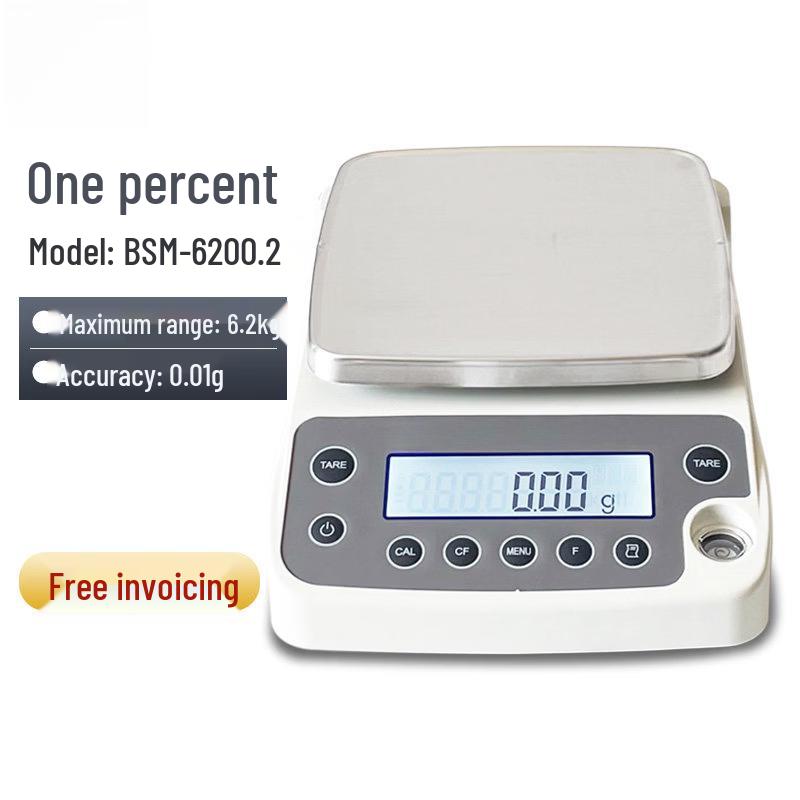 Precision Electronic Analytical Balance