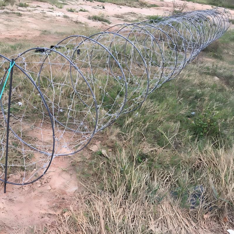 TLXT Simulation Razor Wire Model