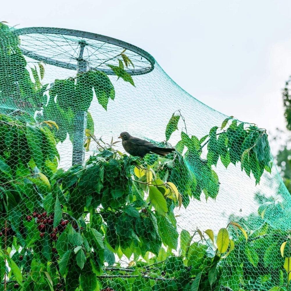 2*5m Anti Bird Protection Net Mesh Garden Plant Netting Fruit Trees And Birds Poultry Best Fenc P9Q8
