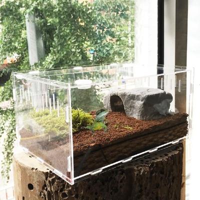 Transparente Acryl-Reptilienbox für Spinnen, Schildkröten, Eidechsen, Zucht, Insektenbox, Lüftungsschlitze, verschiebbares kleines Haustier-Terrarium, Vivarium 2020