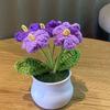 Knitting Crochet Flowers Potted Plants Fake Forget Me Not Flowers for Friends Family and Lover Artificial Handmade Flowers for