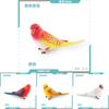Parrot Figurine Pvc Educational Toy For Children Classroom And Home Use