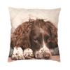 Funda de Cojín Personalizada de Springer Spaniel Inglés para Sofá Sala de Estar Funda de Cojín Cuadrado 45X45Cm