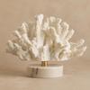 Coralthemed Decor Ocean-Inspired Resin Coral Sculpture Realistic for Mantelshelf