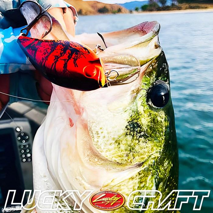 Lucky Craft FAT CB BDS Magic 2.2 - US Standard Color Fishing Lure Crankbait (419 BP Golden Shiner) 65mm