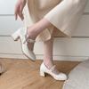 Versatile High Heels Mary Jane Women's Shoes 2025 New Skirt Wine Gentle High Heels Women's Shoes