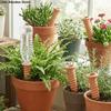 Natural Clay Self-Watering Terracotta Stakes Screws-Shaped Automatic Irrigation Plant Watering Stakes Time-Saving