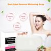 Whitening Skin Beauty Bleaching Lightening Moisturizing Intimate Private Body Care Soap