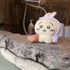 Peluche Chiikawa Edizione Limitata Regionale Giocattolo Marinaretto Primavera Usag Hachiware Ciondolo Portachiavi Ciondolo Borsa Ciondolo Regalo