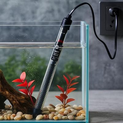 Ryby a mořští živočichové – Údržba akvária
