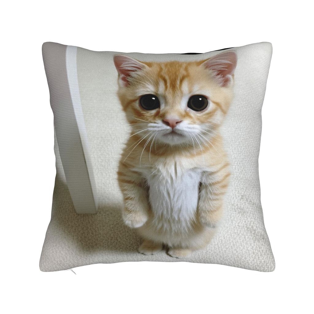 Pet Cat Funny memes Pillow Case Retro Trendy Pillow Cover Comfy Pillowcases For Sofa Couch Bed Living Room