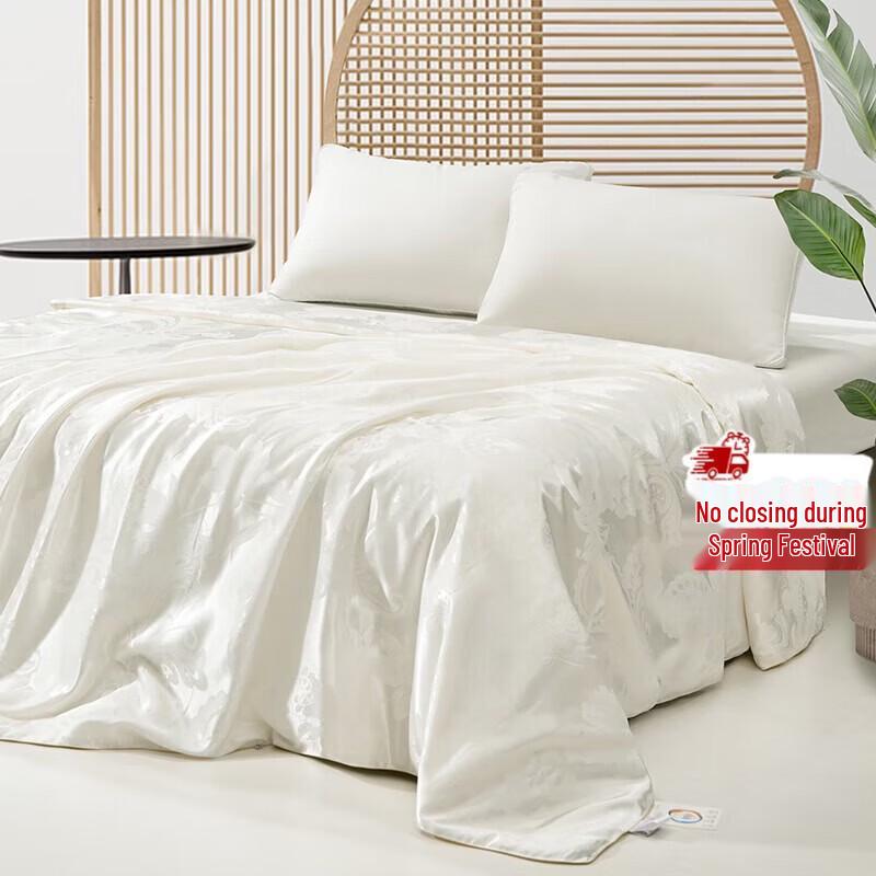 Mercury Home Textiles Light Mist Weaves Summer Silk Quilt