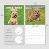 Red Robin 2026 Norwich & Norfolk Terriers Monthly Wall Calendar | 12" x 24" Open | Premium Thick & Sturdy Paper | Hangable 12 Month Calendar | Lined