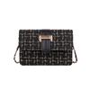 Casual Trendy and Fashionable Small Bag for Women In Summer Niche Design Small Square Bag New Fashionable and Beautiful Crossbody Bag