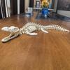 3D Tištěná Kostra Mosasaura Kloubová Dekorace do Akvária Mosasaurus Akční Figurka pro Terarijní Akvarijní Příslušenství