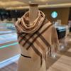 Arnaldo Basini 100% Cashmere Check Muffler (ABM-23CASHP)