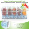 For Ice Chilled Condiment Caddy Serving Tray Container Bar Garnish Holder Salad Platter Server Food Storage with 5 Removable Con