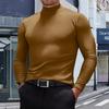 Men's Casual Slim Fit Basic Tops  Lightweight Turtleneck Pullover Shirt