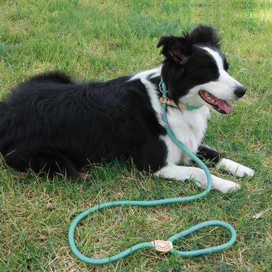 Smyčky pro psy Heavy Duty nylonové lano Smyčka pro velké střední psy Bez tahání Výcvikové vodítko pro chůzi a kontrolu