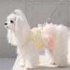 Dog Clothes Spring Summer Thin Princess Suspender Skirt Soft Breathable Cute Dress for Teddy Bichon Small Dogs Cats Pet Apparel