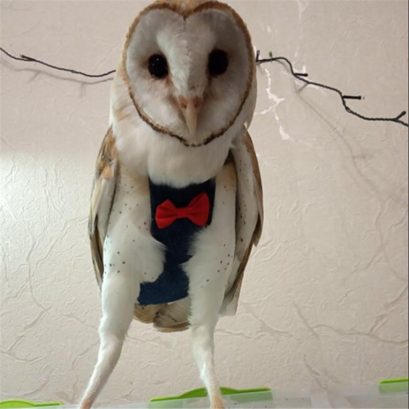 Bird Parrot Diaper Flight Suit Nappy Clothes For Green Cheek Conure Parakeet Cockatiels Pigeons Pet Birds Feces Pocket