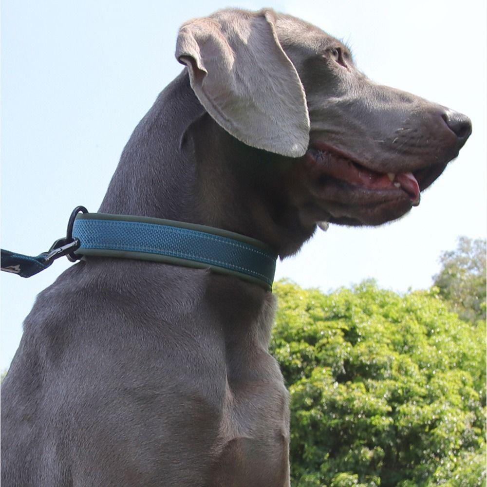 Elastisches Gurtband Haustierhalsband für mittelgroße bis große Hunde Kein Zug Hundesicherheitsschnalle Kette Spazierengehen