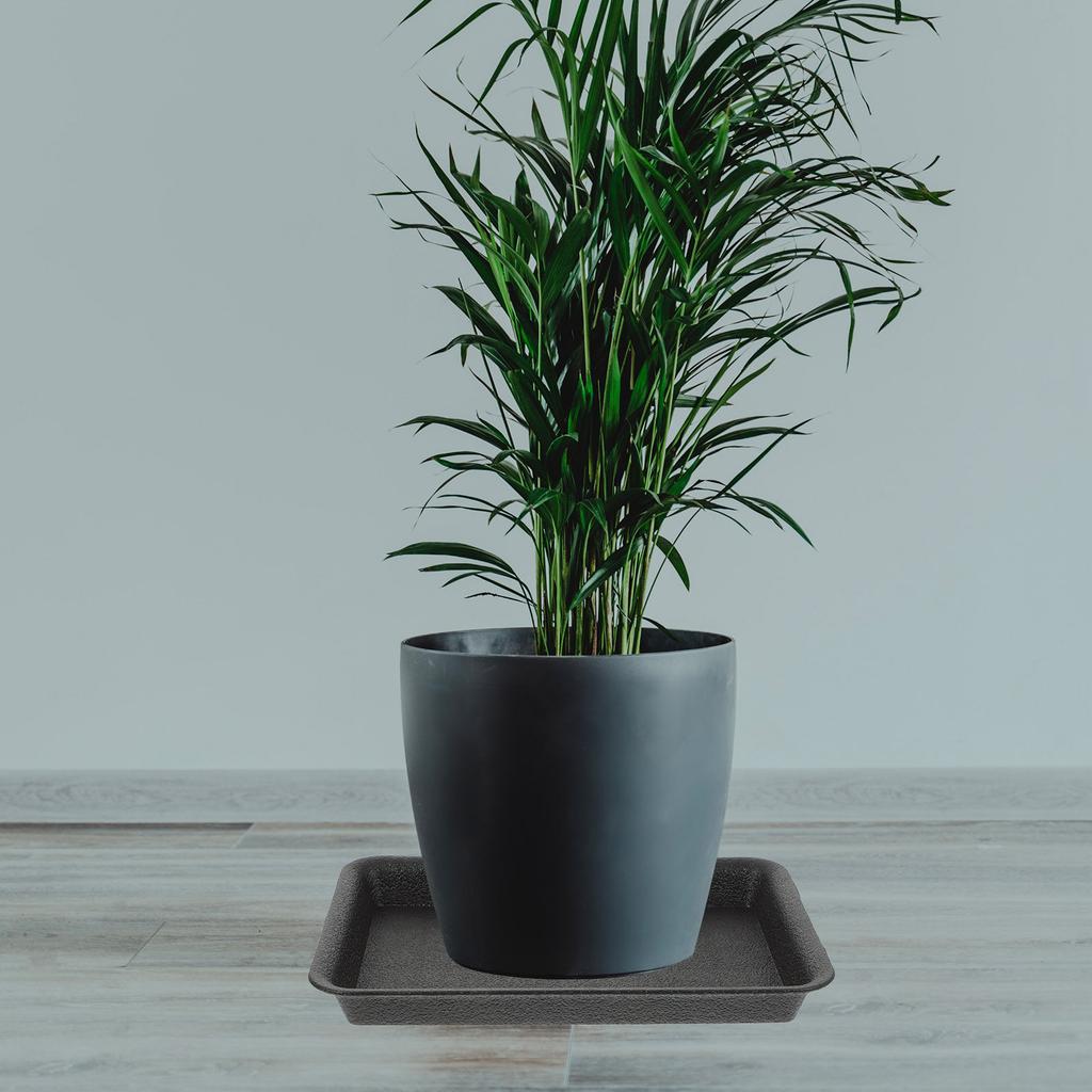 6Pcs Heavy Duty Plastic Plant Saucers Flower Pot Trays Drip Tray for Indoor Plants Planter Water Holder Planter Tray Table Top