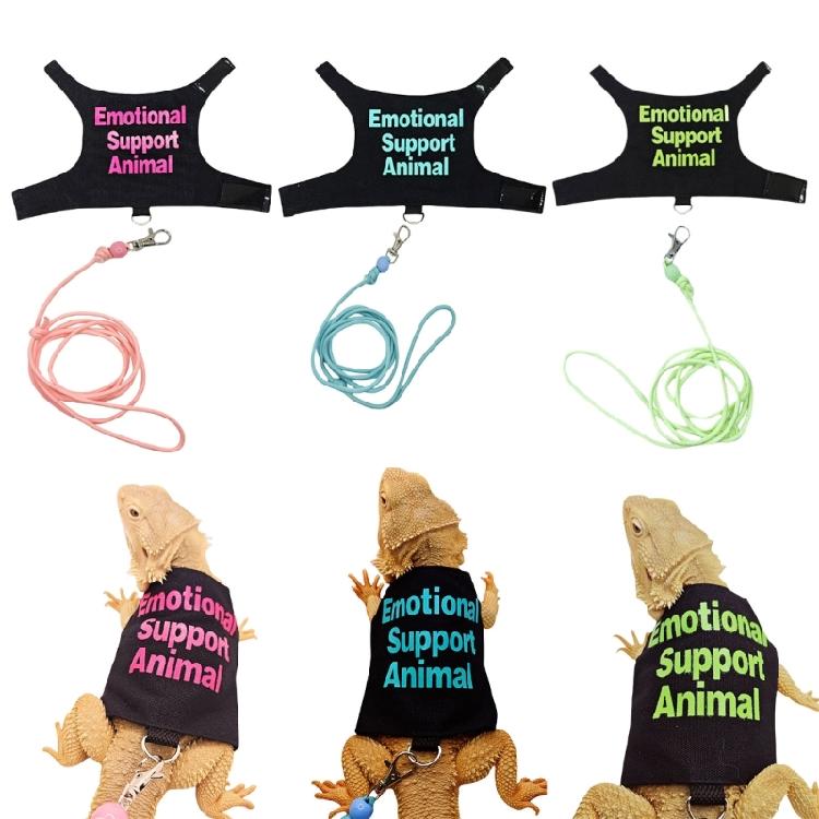 Verstellbares Flexibles Seil Anzug Training Walking Seil Haustier Seil Leinen Westen Seil für Kleintier Outdoor-Aktivität