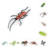 Insect Model Water Bug Toy With Plastic Material For Childrens Educational Play