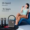 Divoom SongBird-SE Altoparlante Bluetooth Karaoke da Casa e Set Microfono Spina CN (adattatore incluso) (Versione NC)