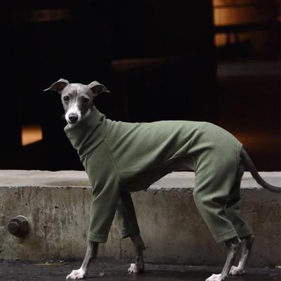 Giyim ve ayakkabı – Köpekler İçin Kapşonlu Kazaklar