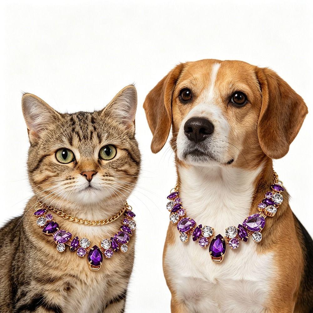 Collare per Gatti Regolabile Acciaio Inossidabile Collare con Diamanti Accessori alla Moda per Animali Fotografia di Matrimonio
