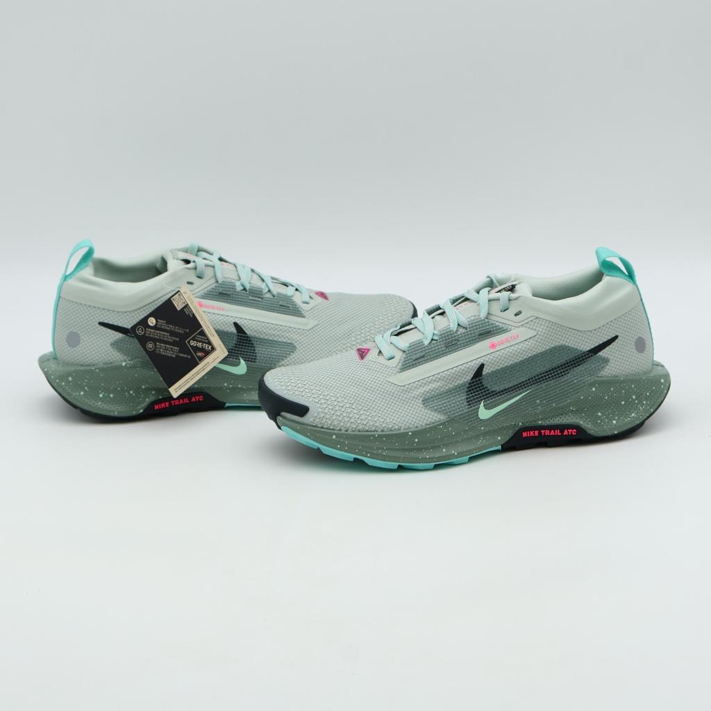 FQ0908-013 Nike Pegasus Trail 5 GORE-TEX Light Silver Clay Green Mint Foam (Men'