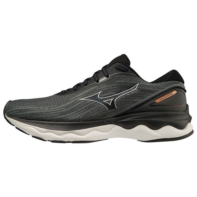 Mizuno Wave Skyrise 3 Мужские Низкие Повседневные Беговые Кроссовки Черные С Карбоновой Пластиной J1GC220904 46