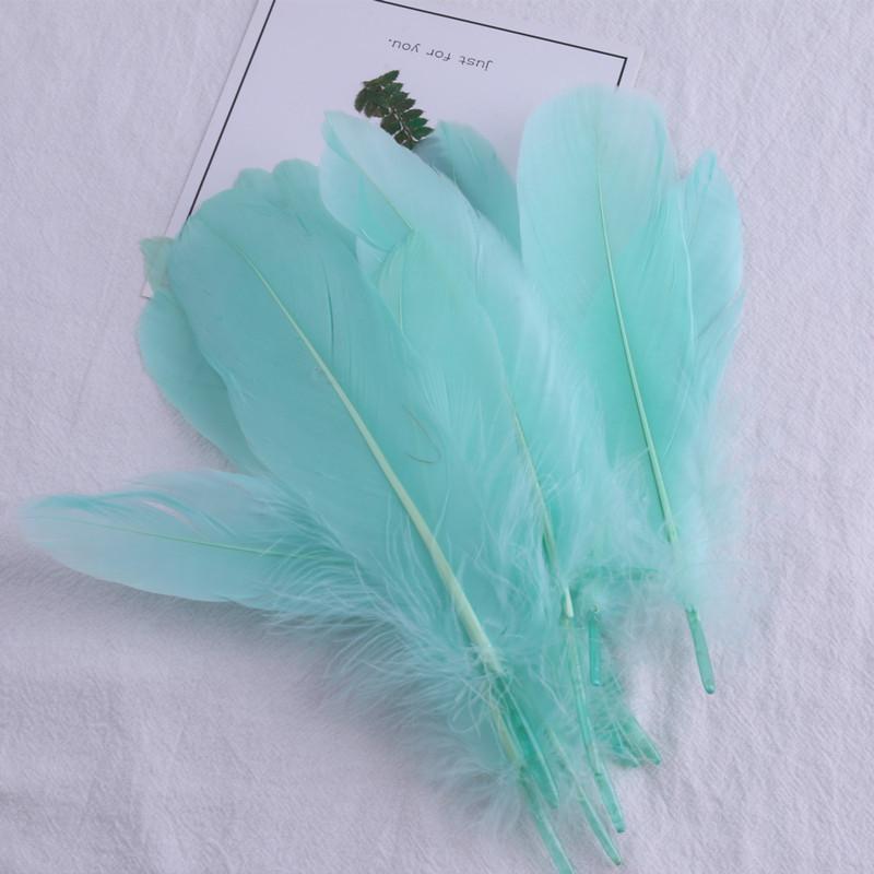 Diy Hard Floating Feathers And Goose Feathers Craft Decoration Children 'S Handmade Jewelry Accessories Home Clothing Decoration