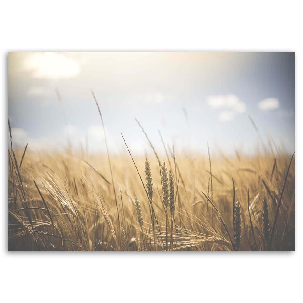Imprimeu pe pânză, Grâu pe câmp