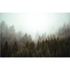 Misty Forest Behang Natuurlandschap Muurschildering Woonkamer Sofa Achtergrond Muurdecoratie 3d Behang