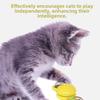 Interactive Windmill Cat Toy Glowing Rotating Kitten Puppy Pet Training Toy TPR Button Cell Rotatable Plaything for Cat