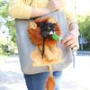 Dog Carrier Bag Cat Carrier HandBag Travel Pet Carrier Small Animal Carrier Bag
